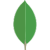 icons8-mongodb-96 1